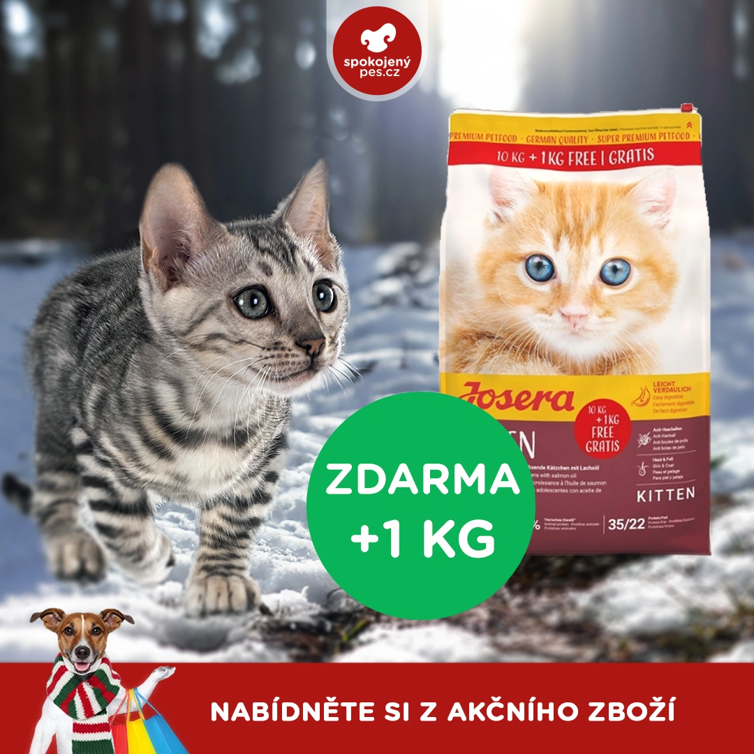 akční leden11.webp